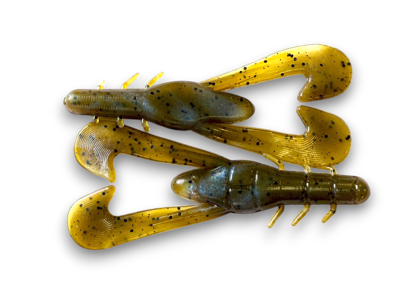 Boogie Bug